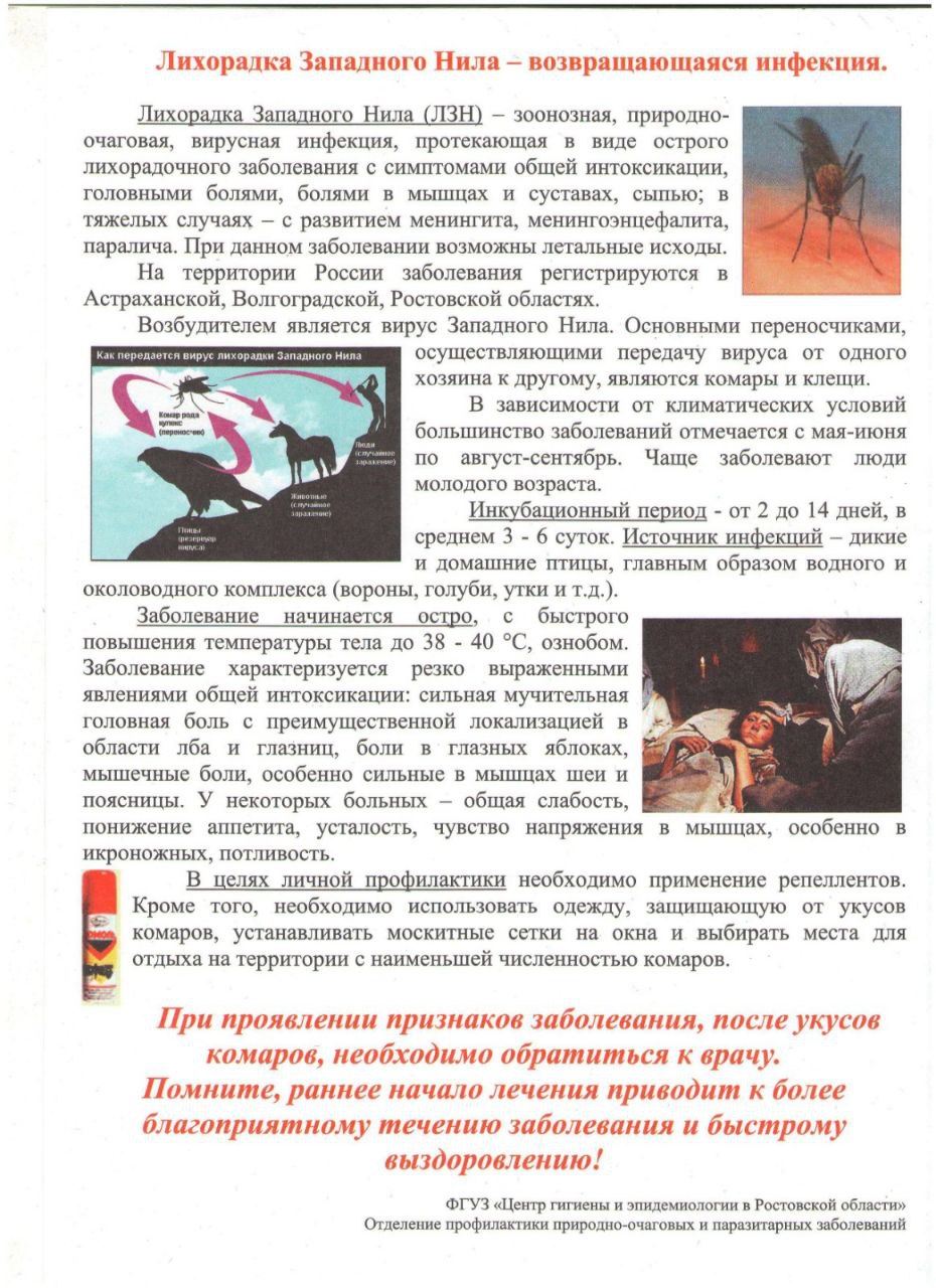 lihoradka 1