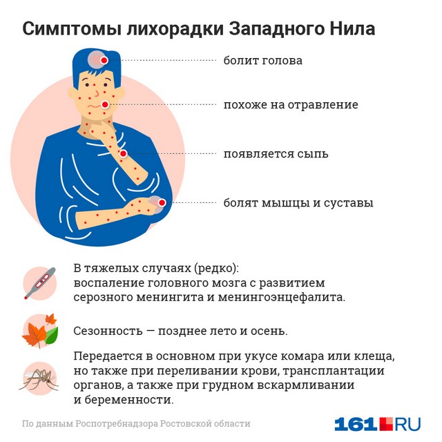 lihoradka 1