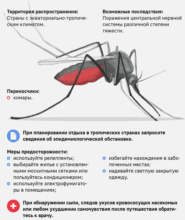 lihoradka 1