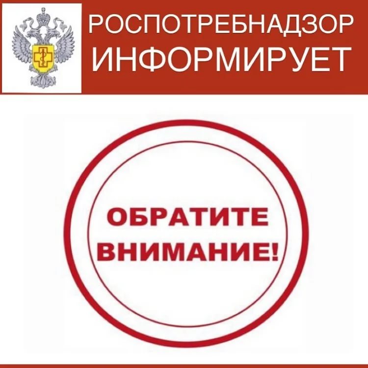 foto 16 12 2020 15 21
