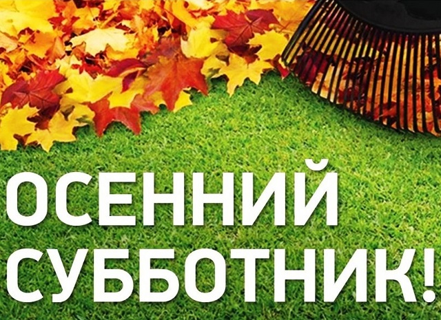 foto 03 10 2022 09 49