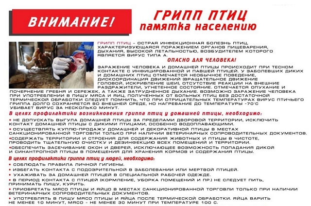 foto 13 01 2023 14 18 2