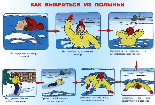 foto 2023 11 16 09 09 1