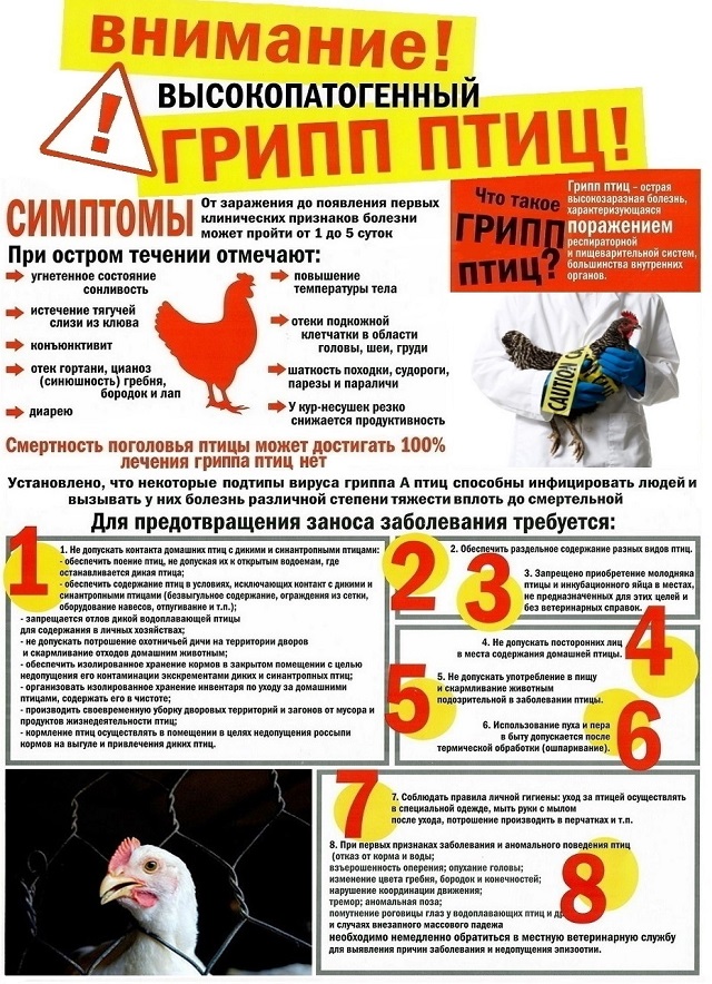 foto 2024 01 29 15 14 1