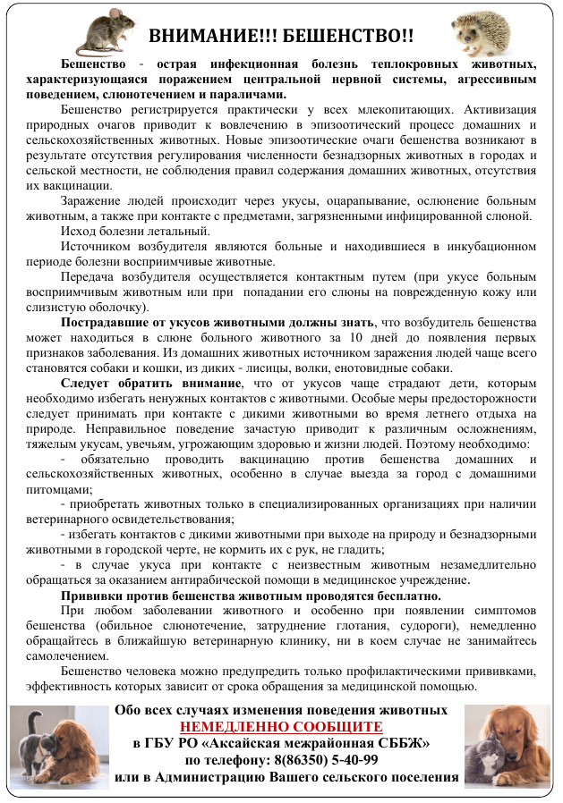 foto 2024 03 15 18 48
