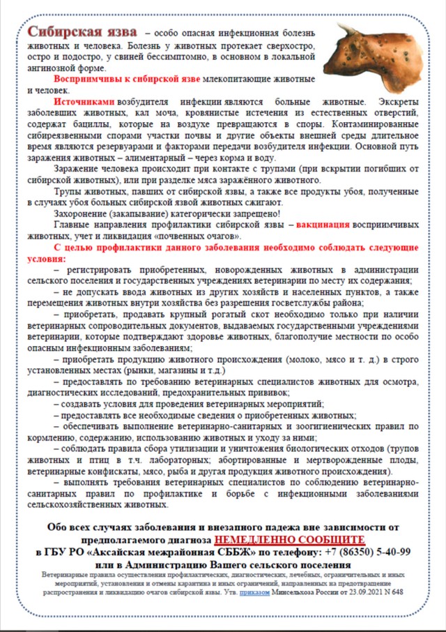 foto 2025 04 24 10 12 001